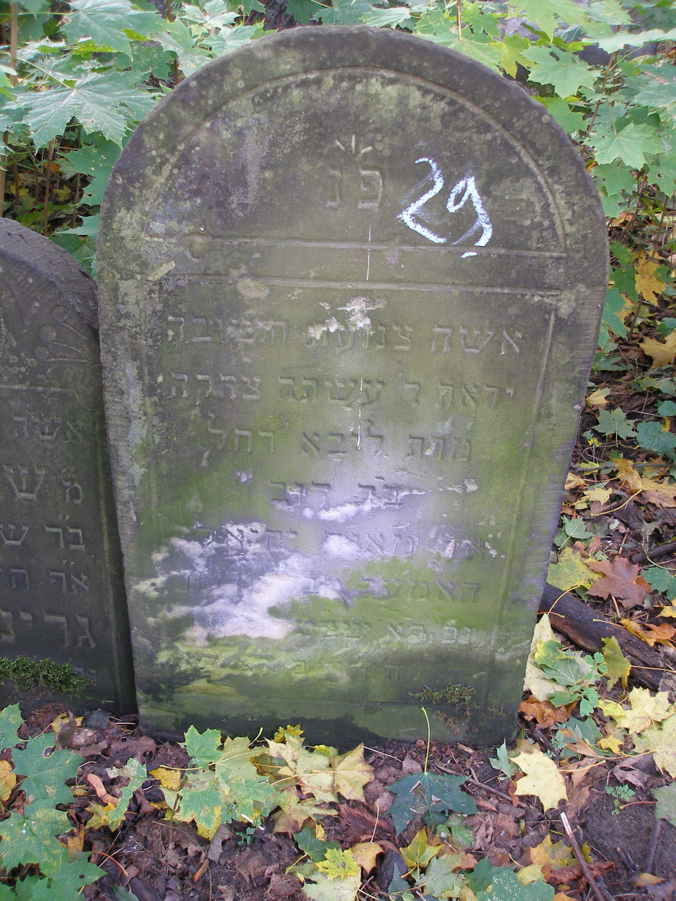 Gravestone at Okopowa, sector 79, row 3, grave 29, numbered 29 in chalk: Hebrew inscription for Liba Rachel, daughter of Dov, wife of R. Meir Yechiel Hamer of Błędów, died 21 Shevat 5676 — 26 January 1916; probably Gitla's mother.